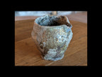 Chahai — Granitic Porcelain